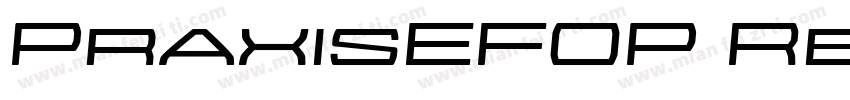PraxisEFOP RegularObl字体转换